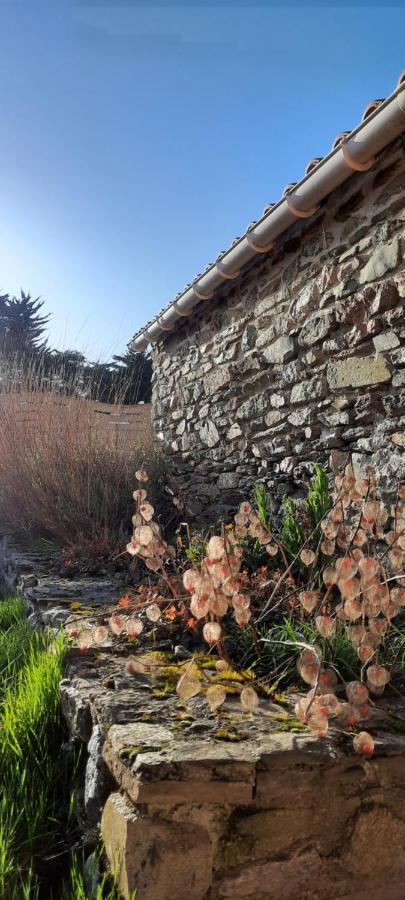 Maison De Village 4 A 6 Pers A 5 Min De La Mer Brétignolles-sur-Mer Exterior foto
